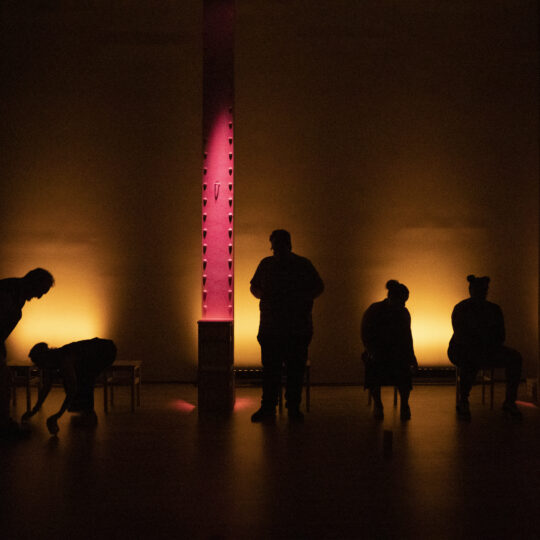 https://laltrefestival.cat/wp-content/uploads/2025/07/Llums-I-Ombres_-4-540x540.jpg